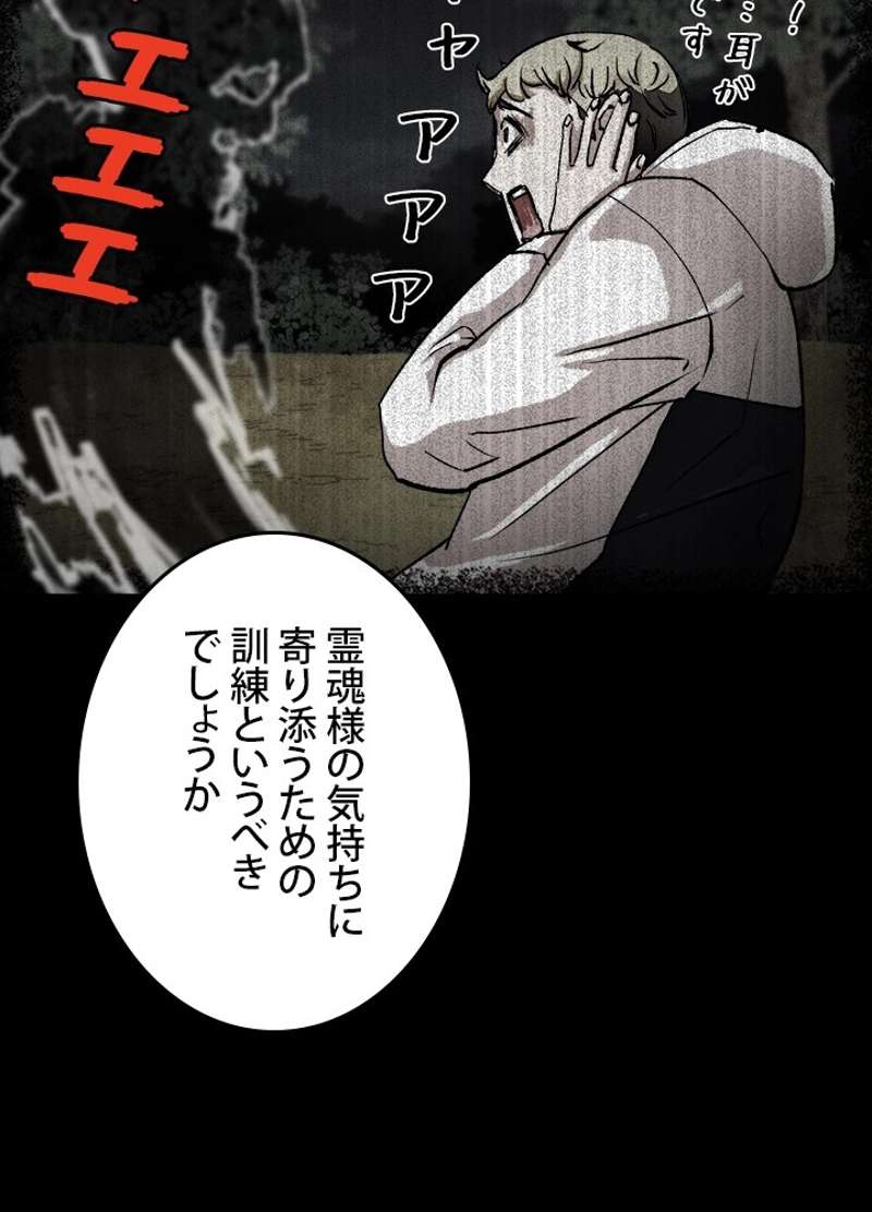 P53