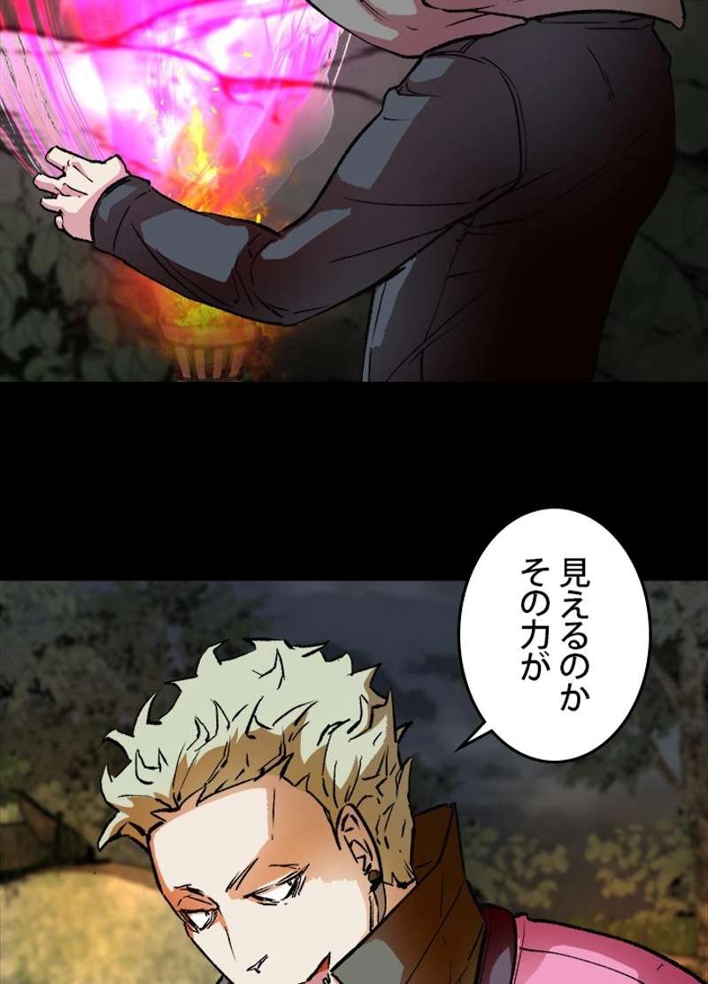 P53