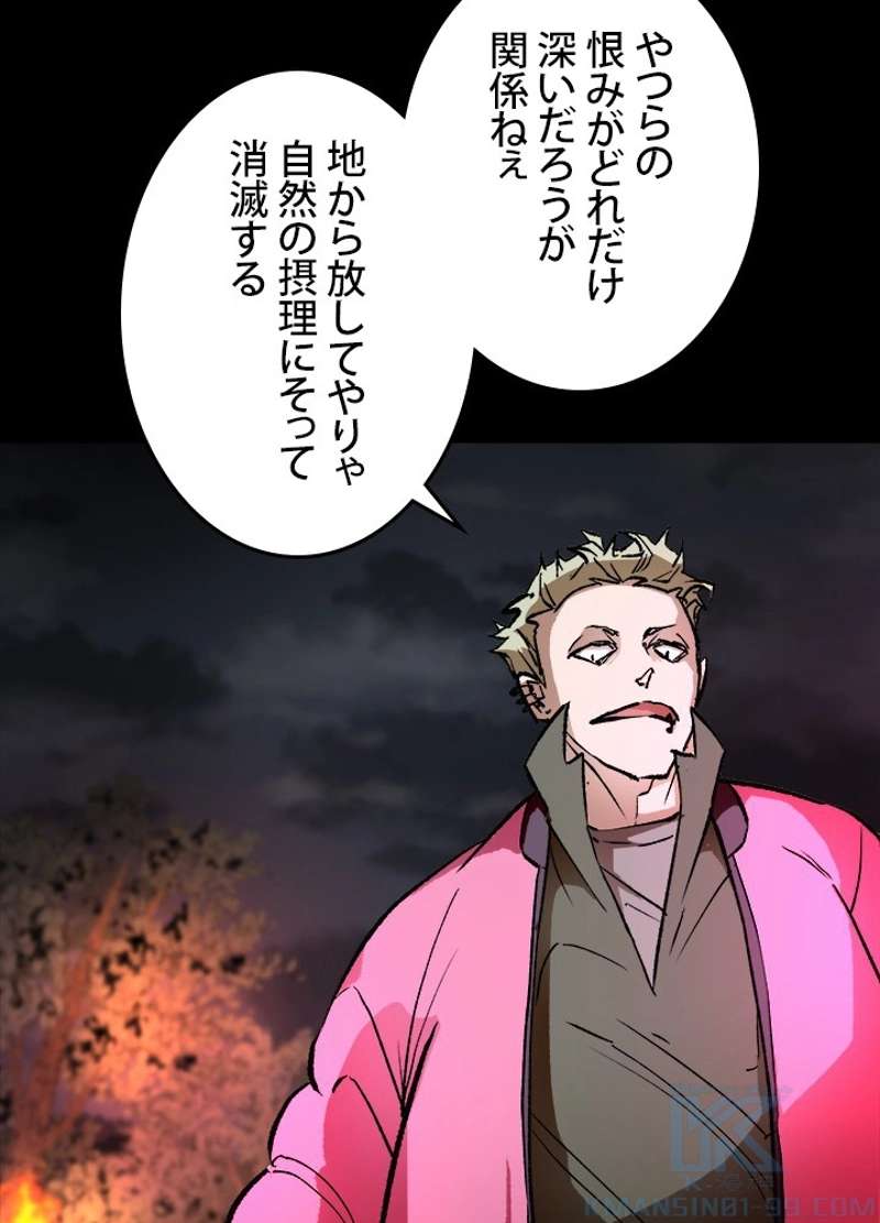 P61