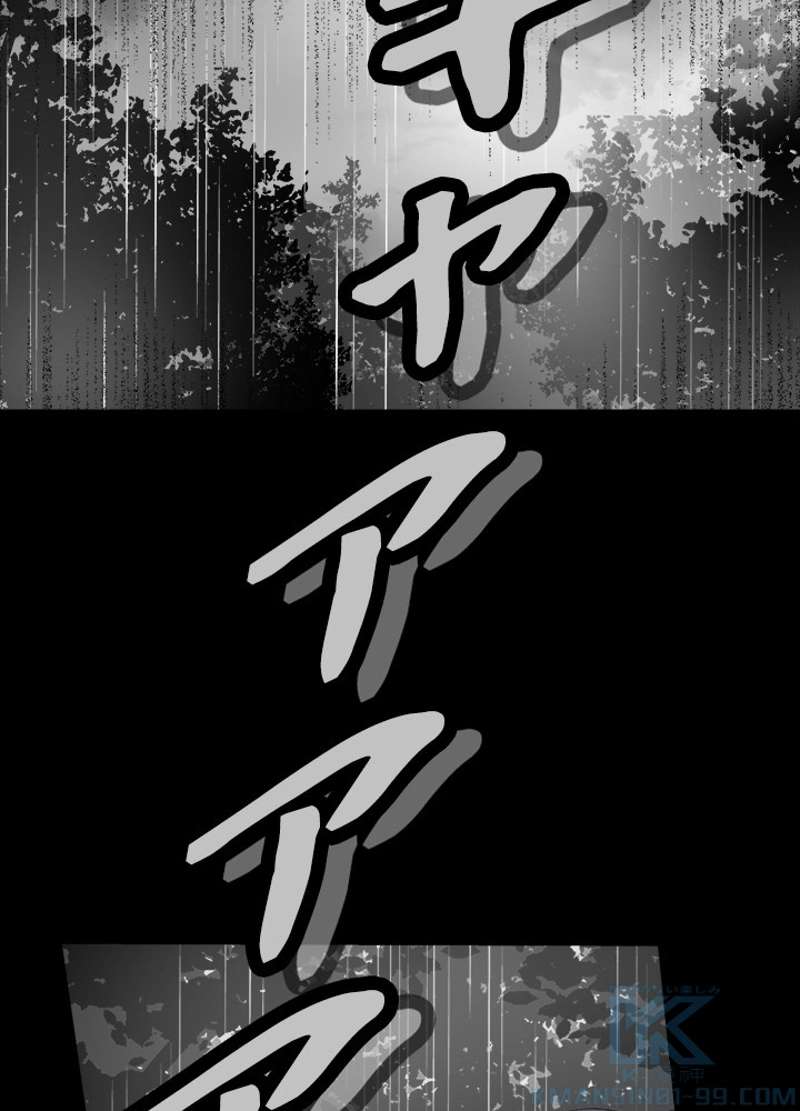 P58
