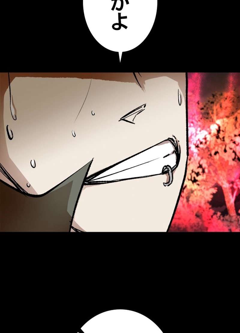 P63