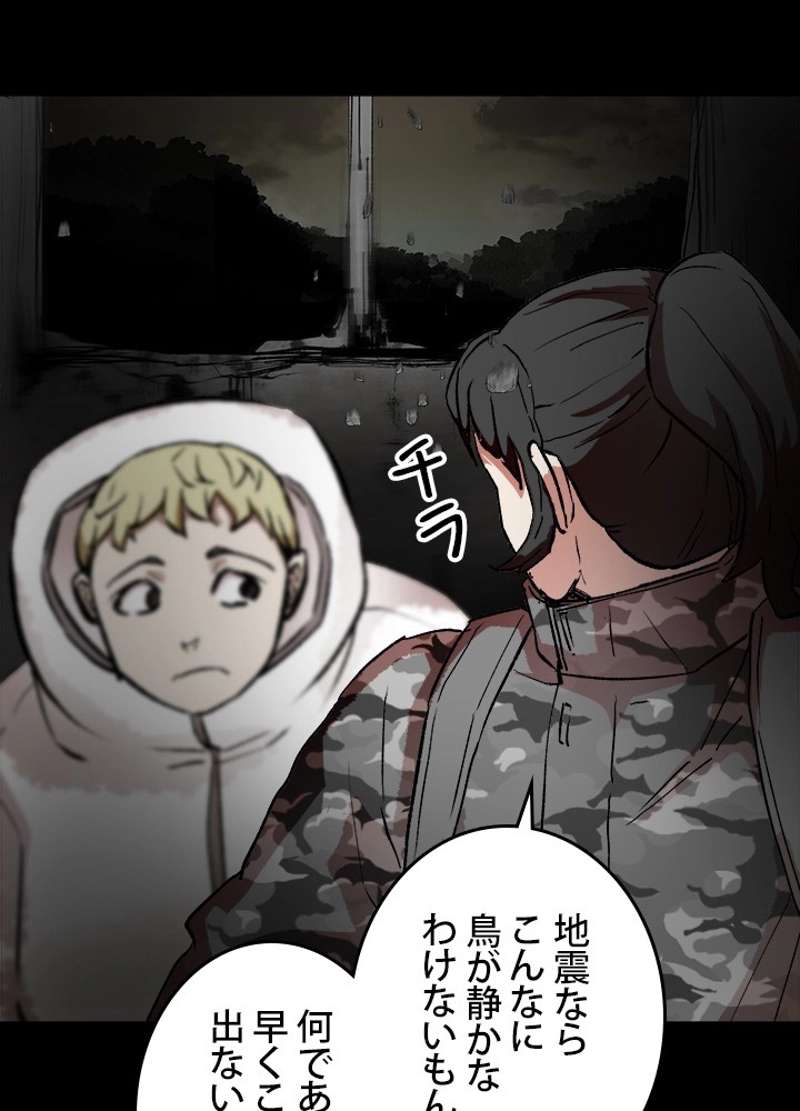 P53