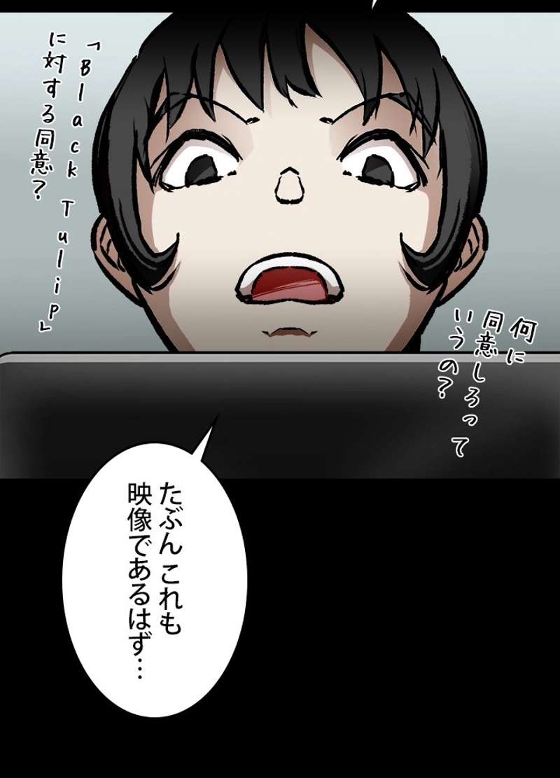 P63