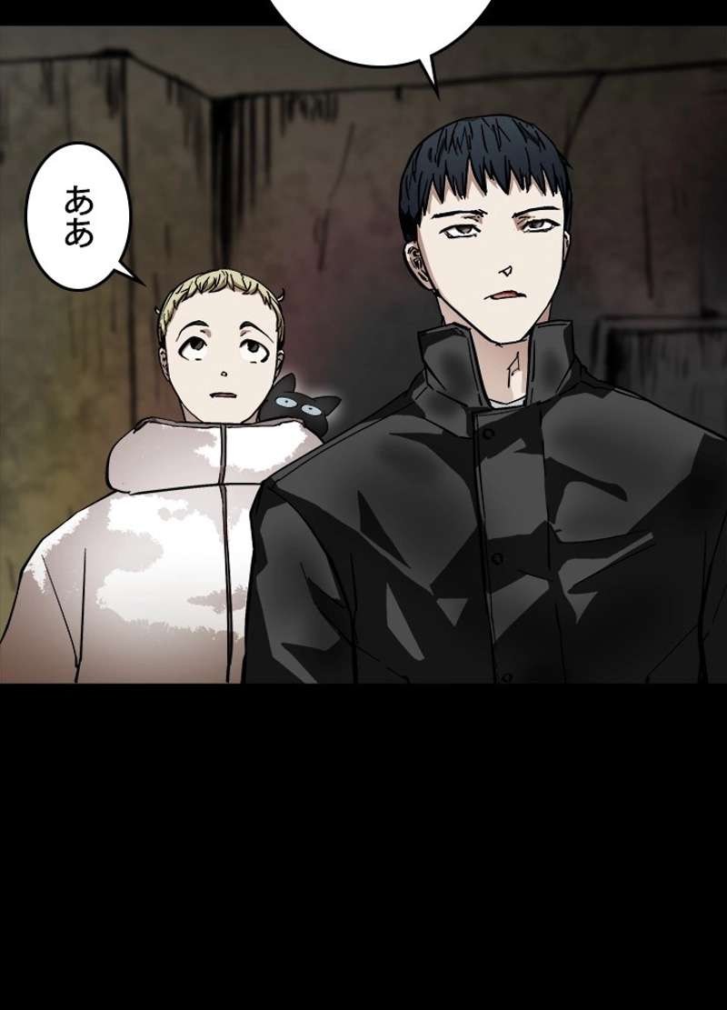 P53