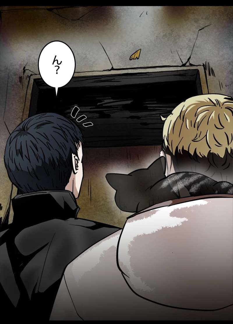P54