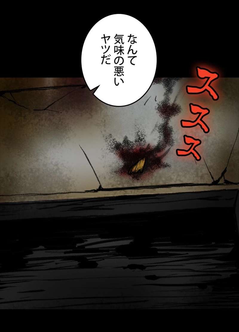 P62