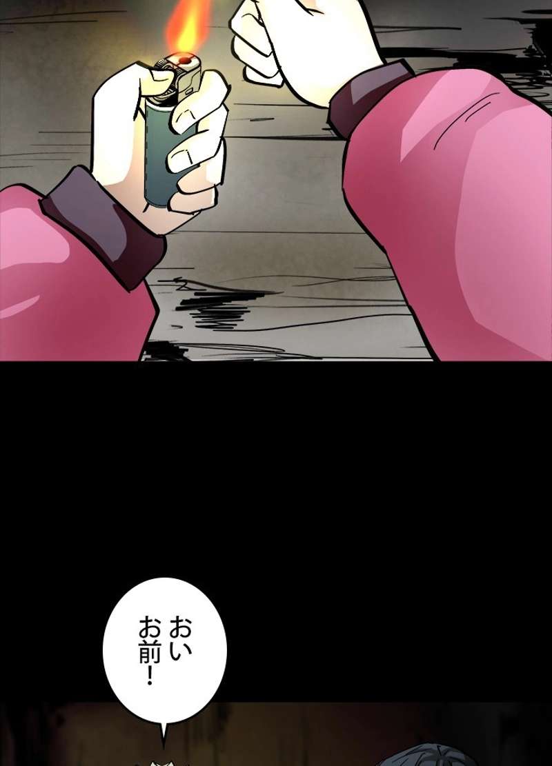 P66