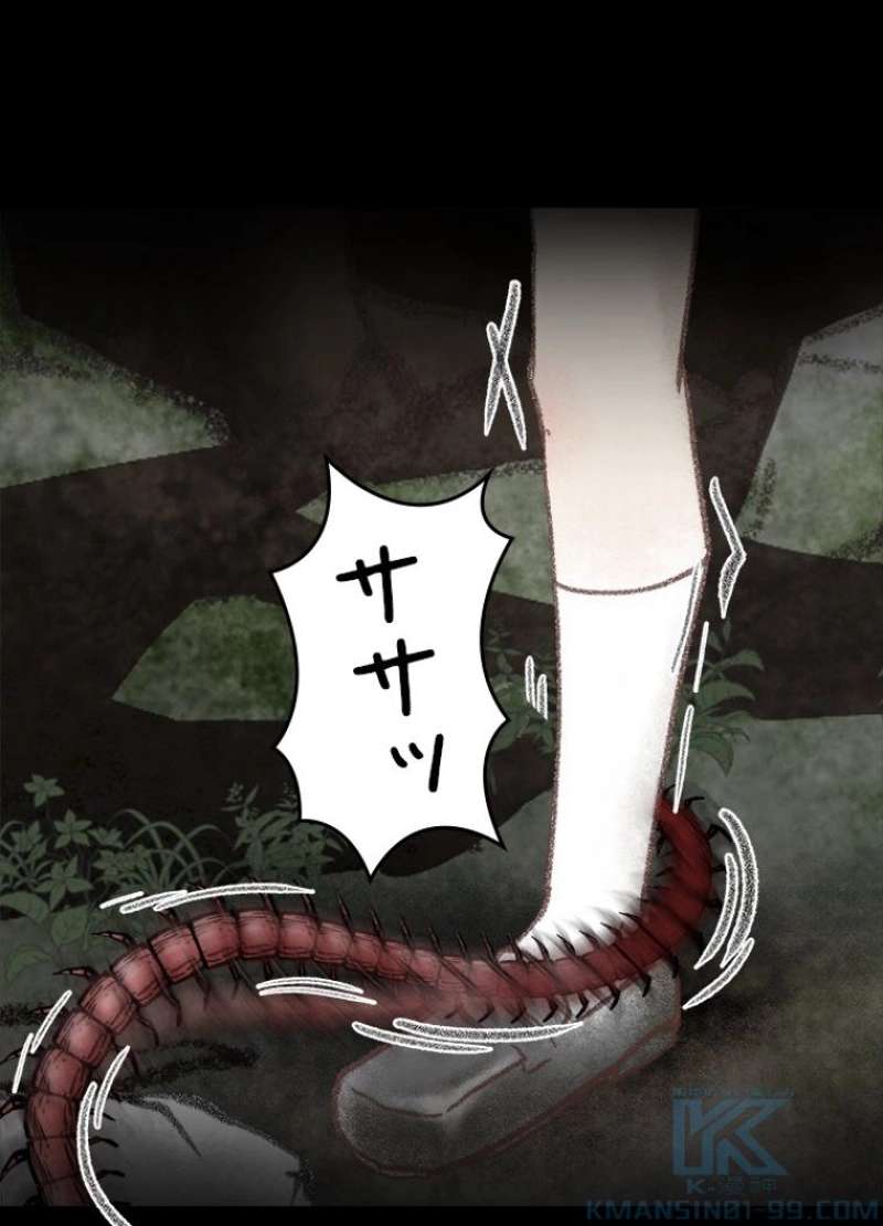 P46