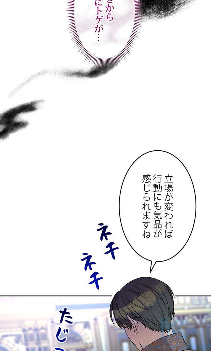 P61