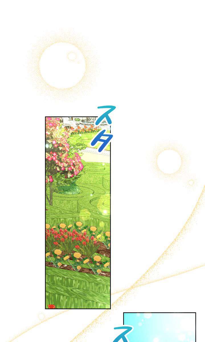 P63
