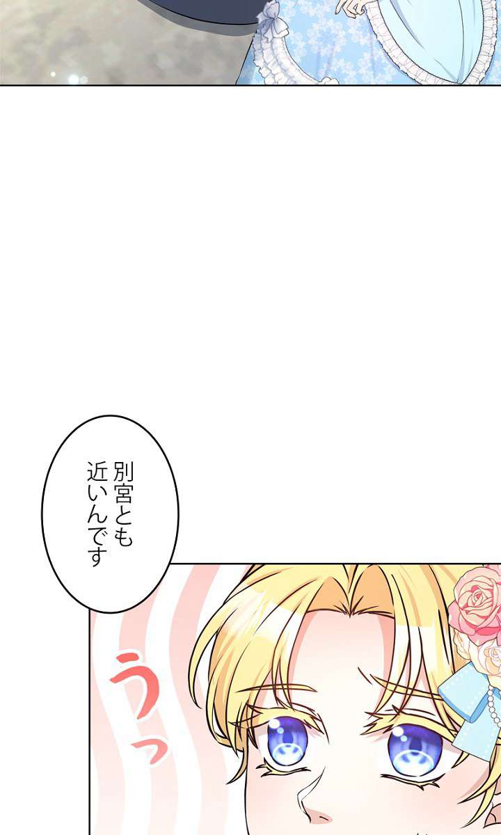 P66