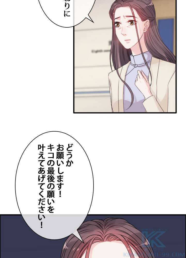 P61