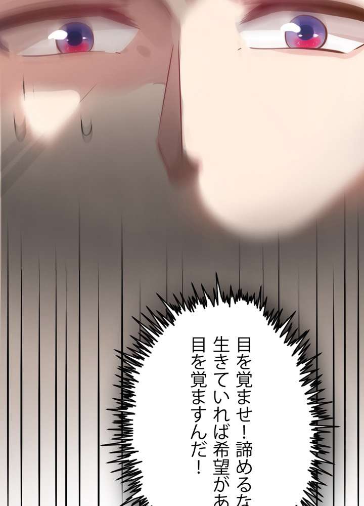 P66
