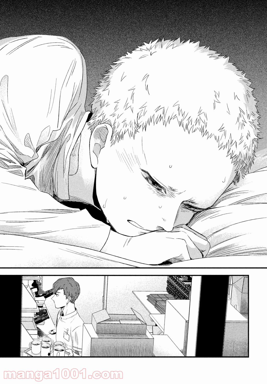 P46