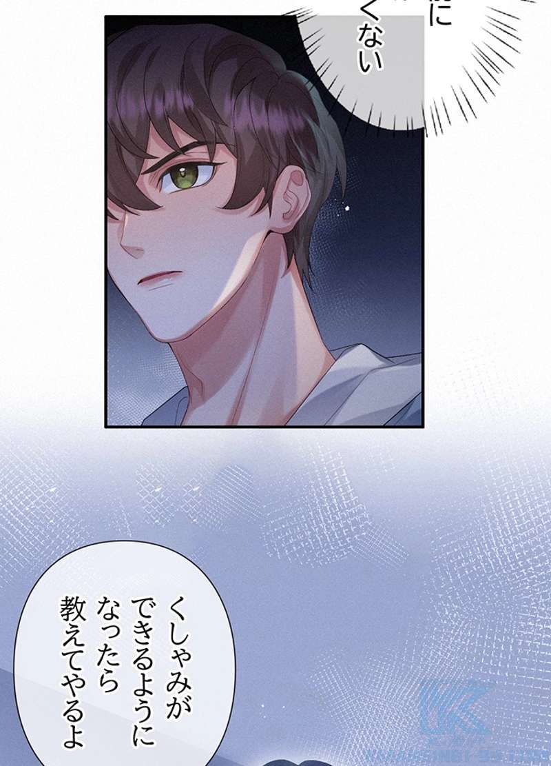P58