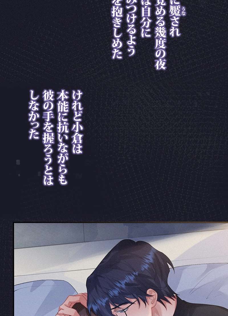 P41
