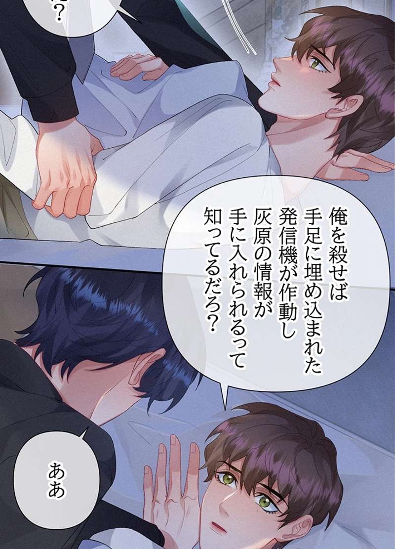 P26