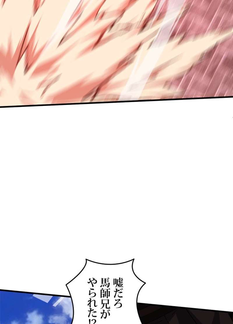 P66