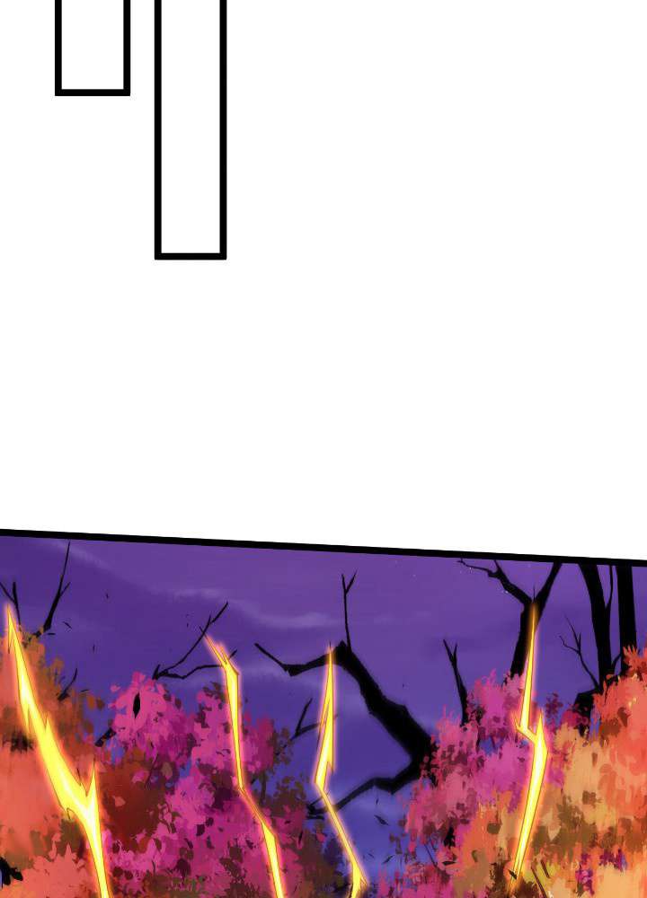 P65
