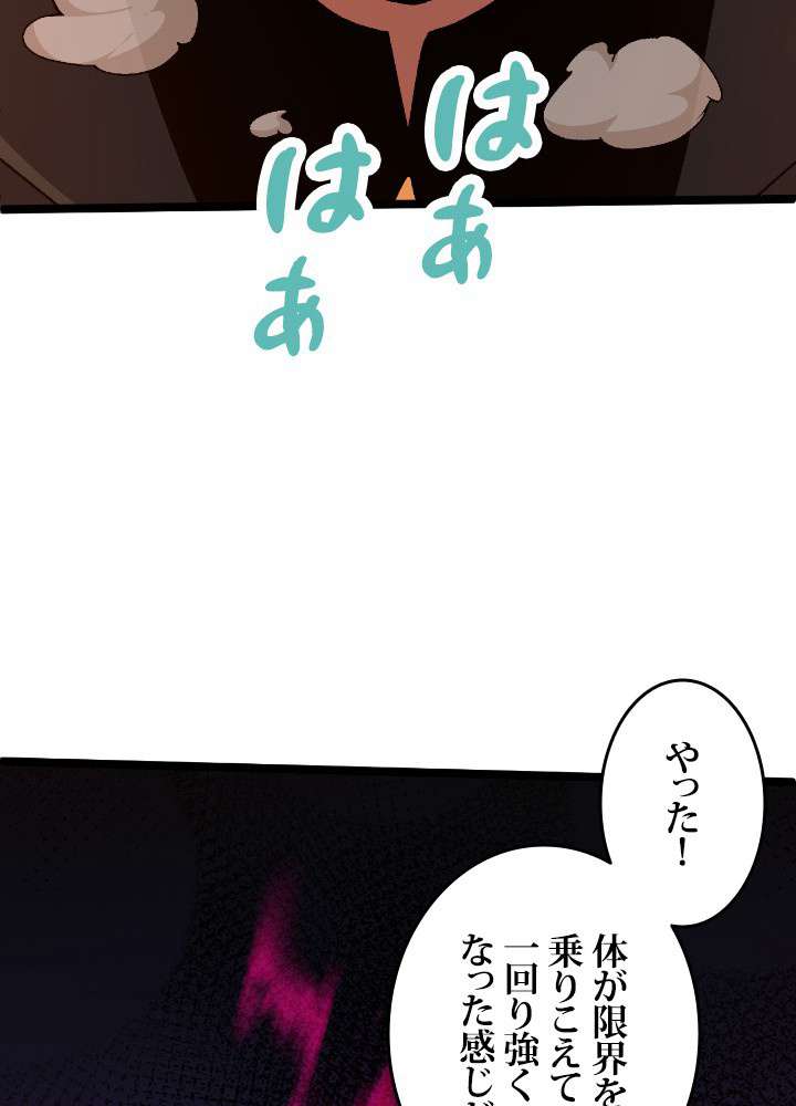 P84