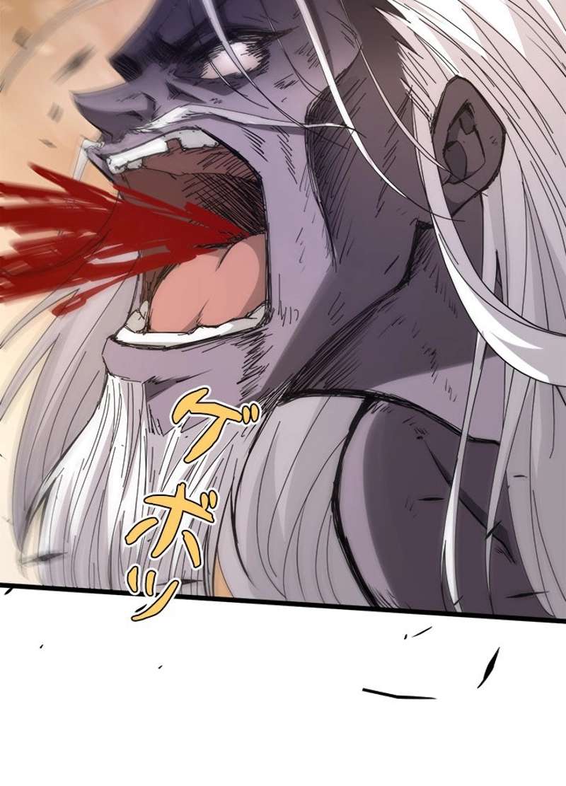 P66