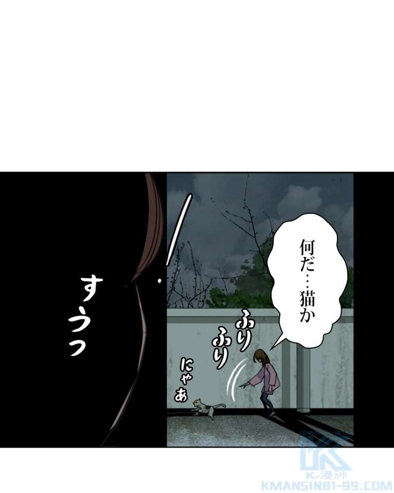 P61