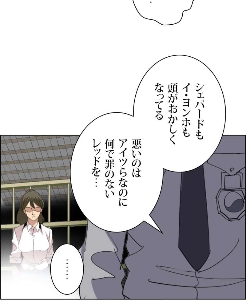 P53