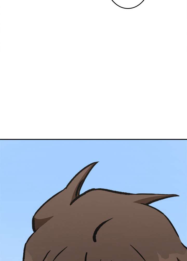 P161