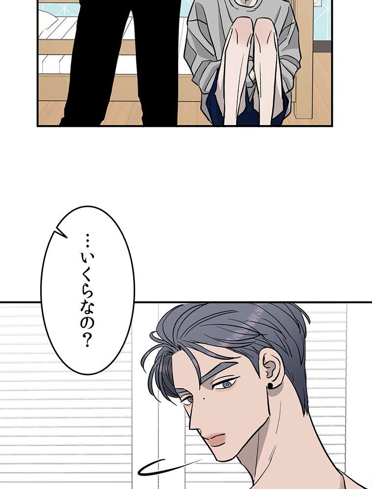 P41