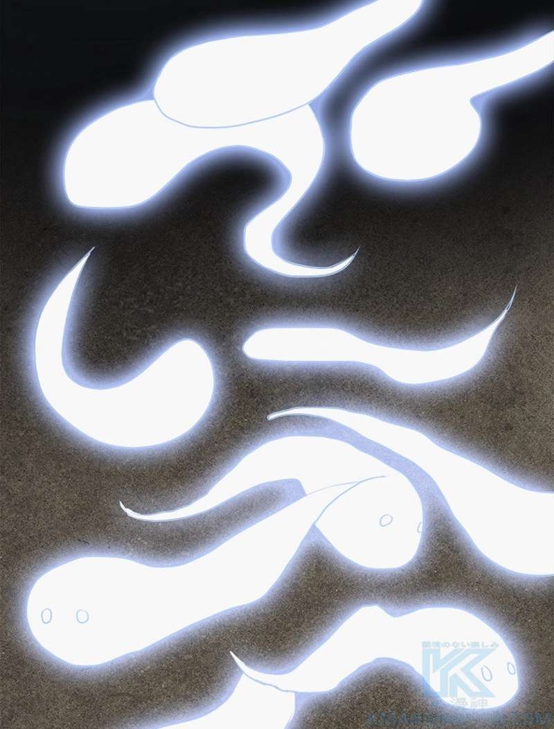 P58