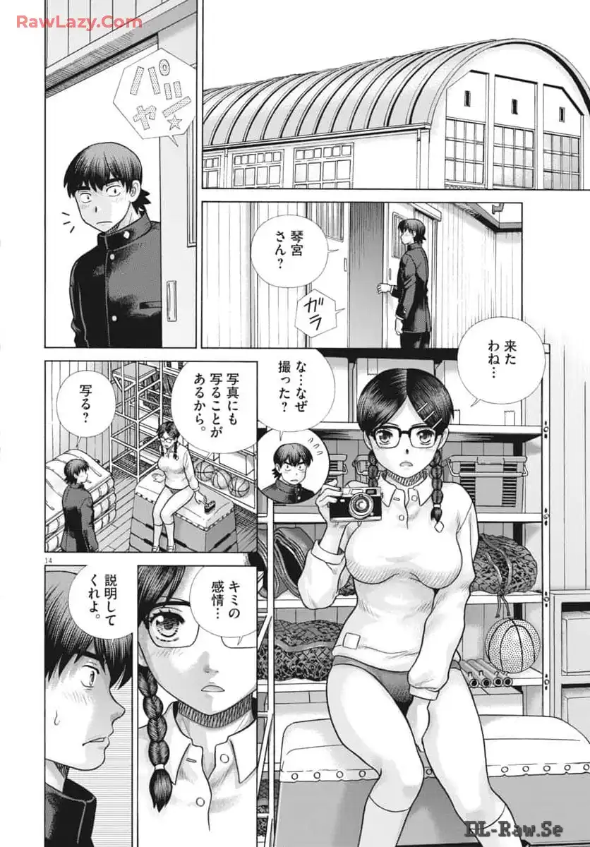 P14