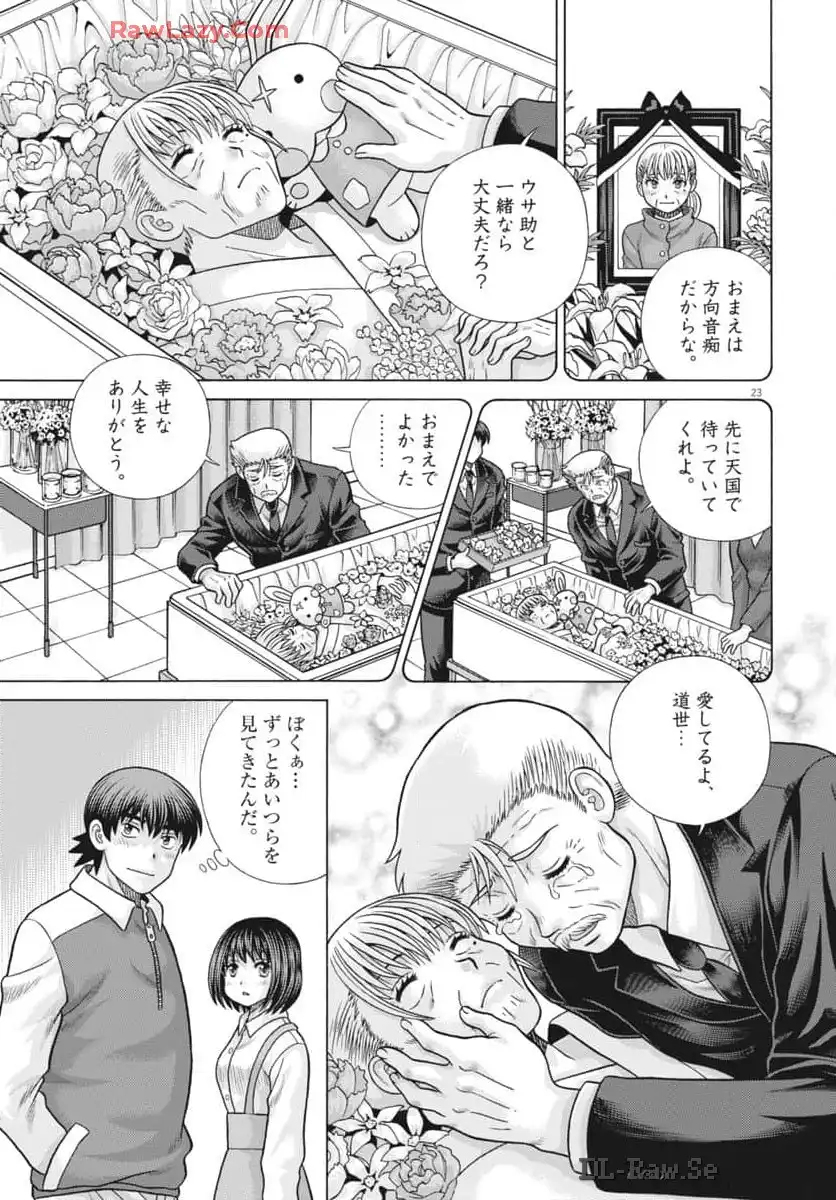 P23