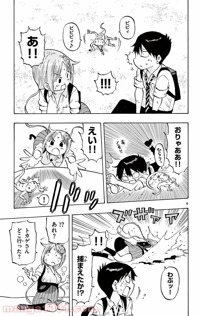 P6