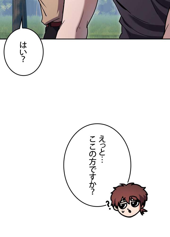 P53