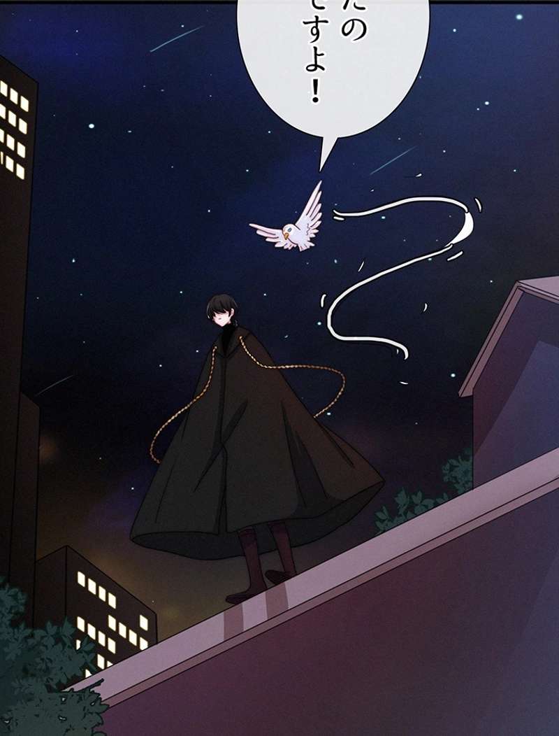 P53
