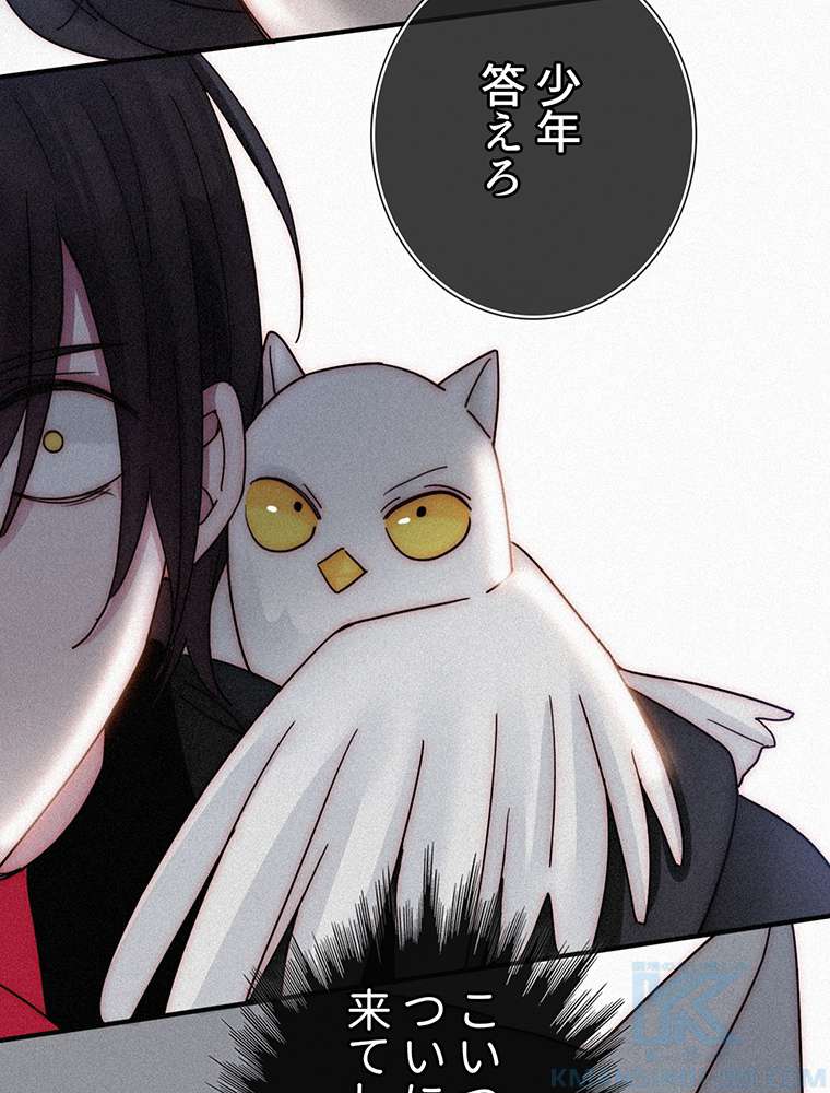 P61