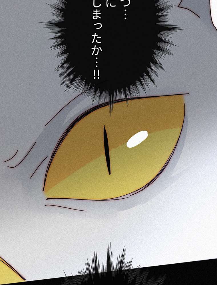 P62