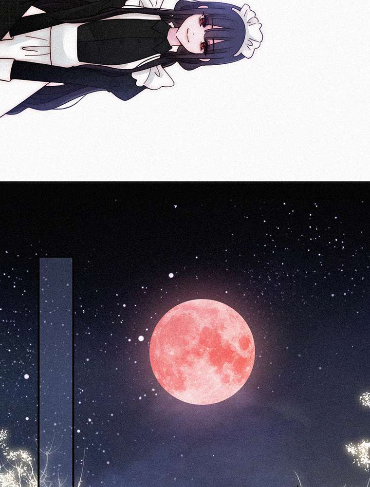 P51