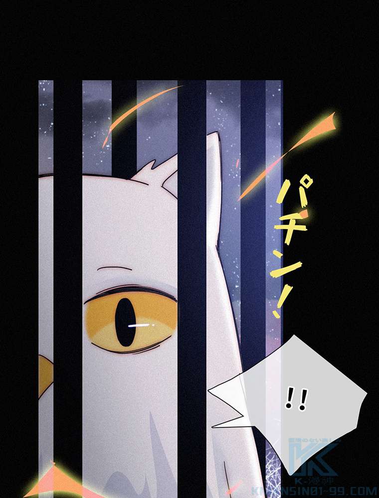 P55