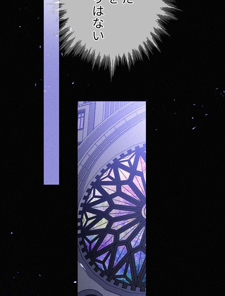 P63
