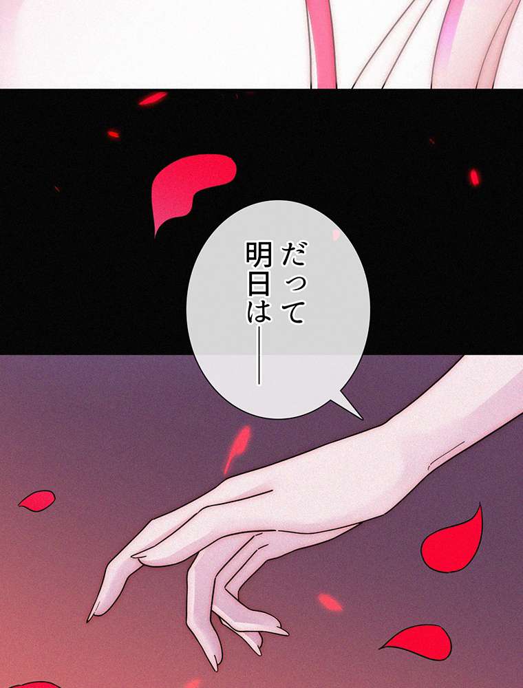 P66