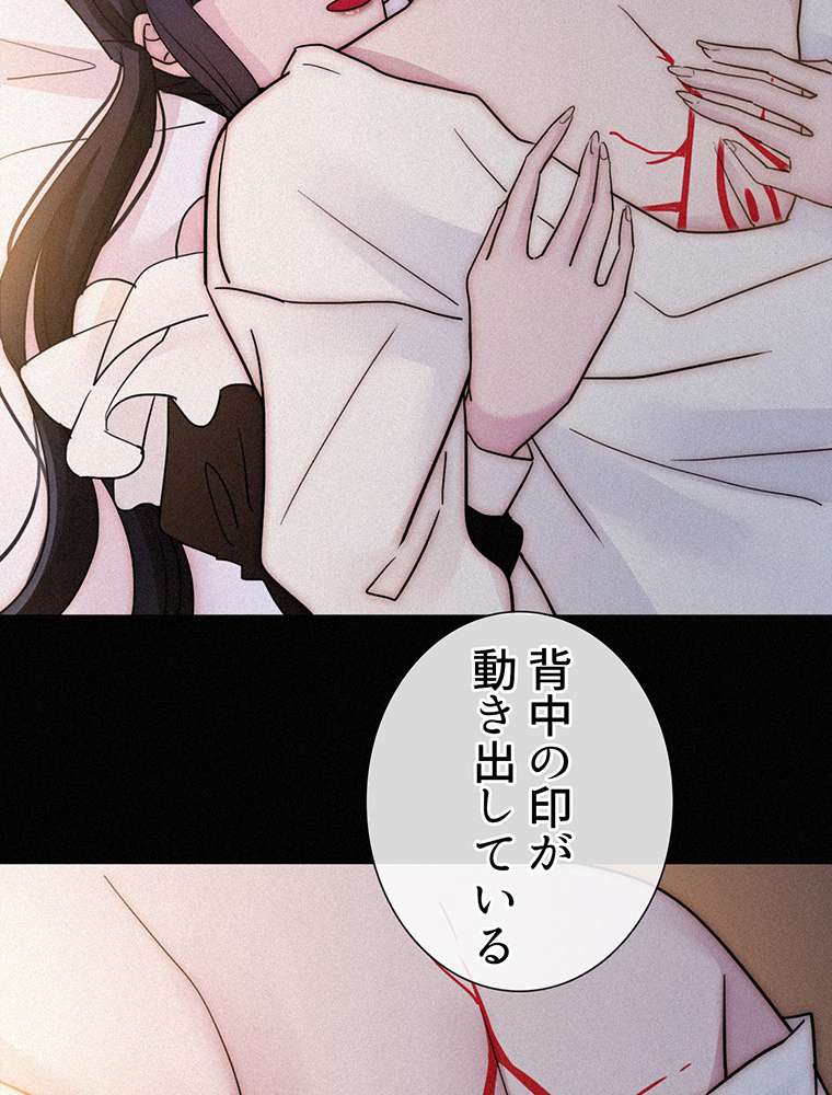 P24