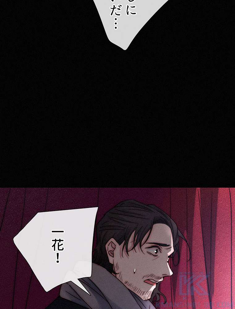 P61