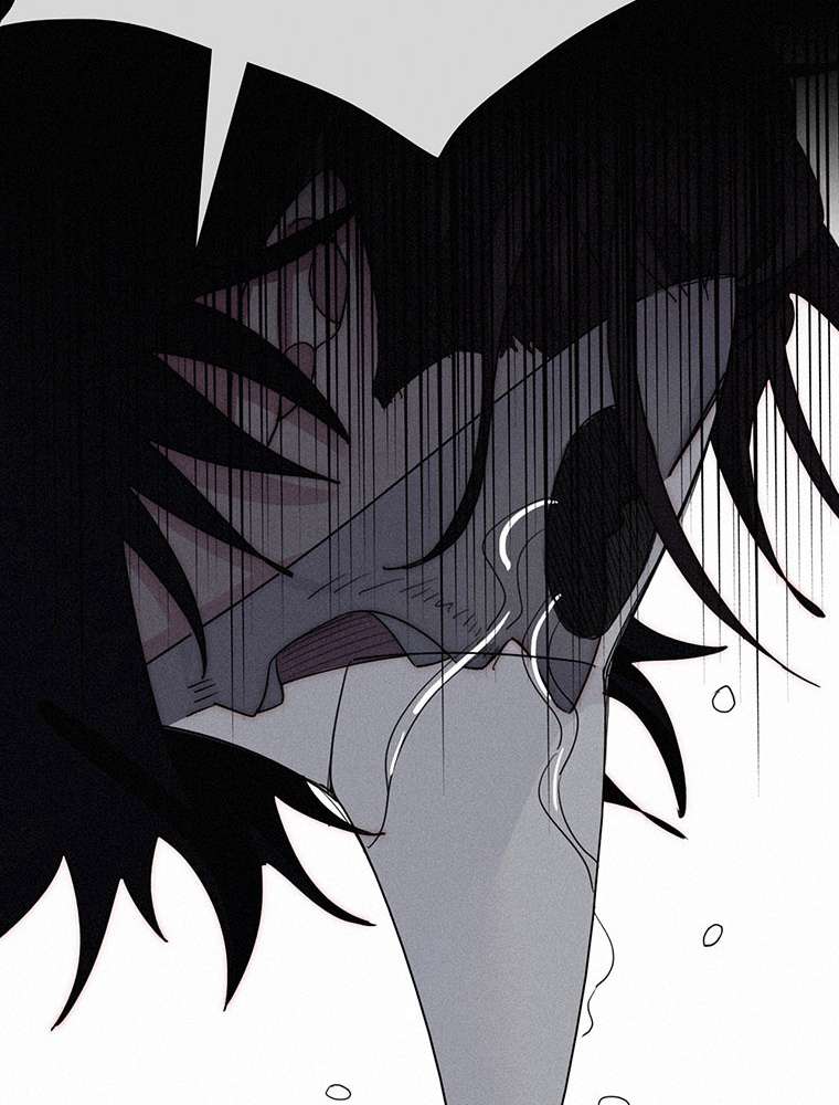 P81