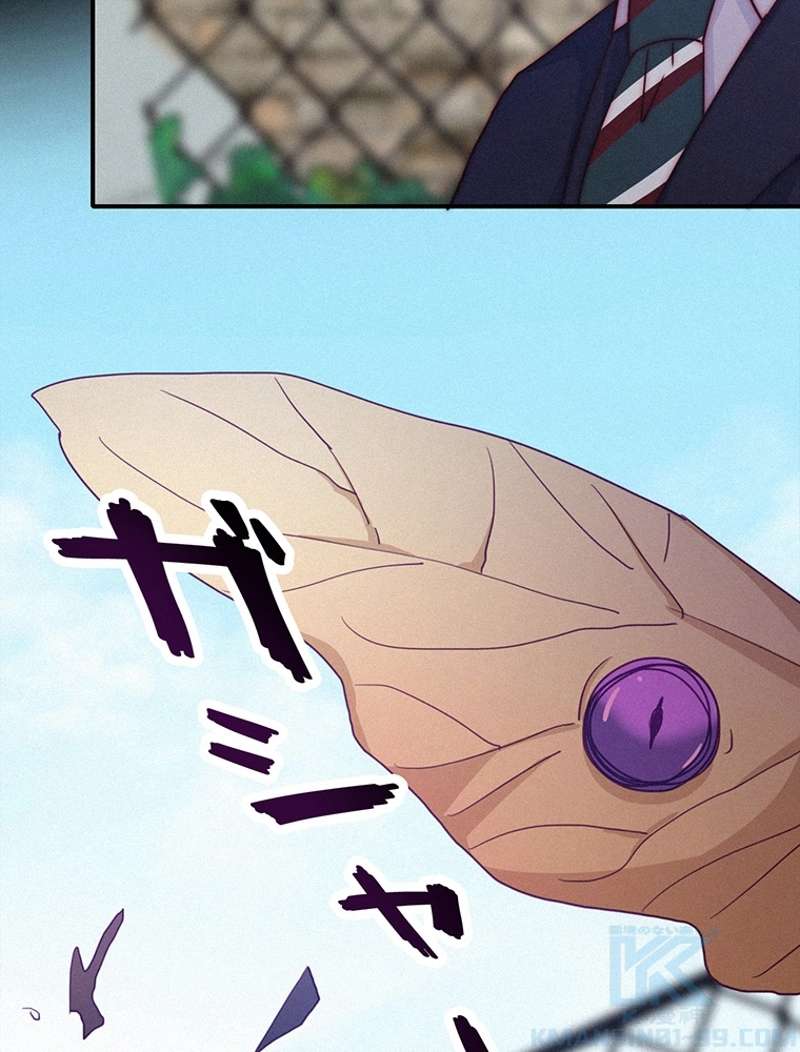 P40