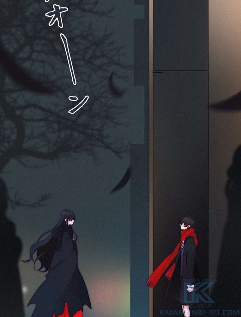 P61