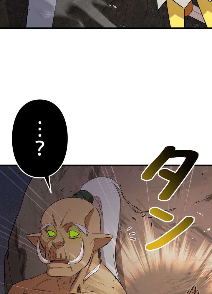 P113