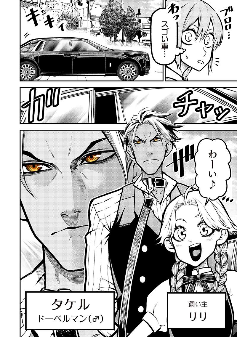 P4