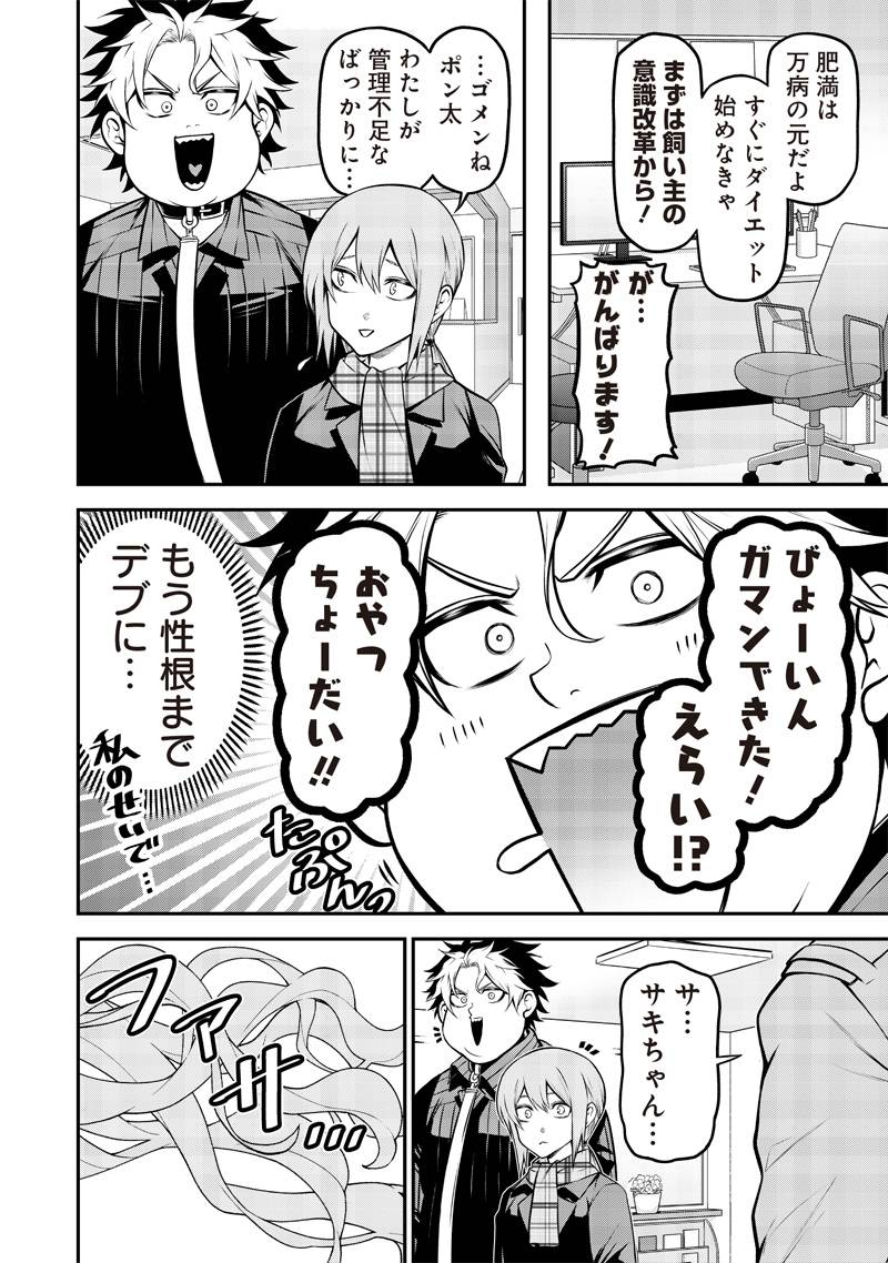 P4