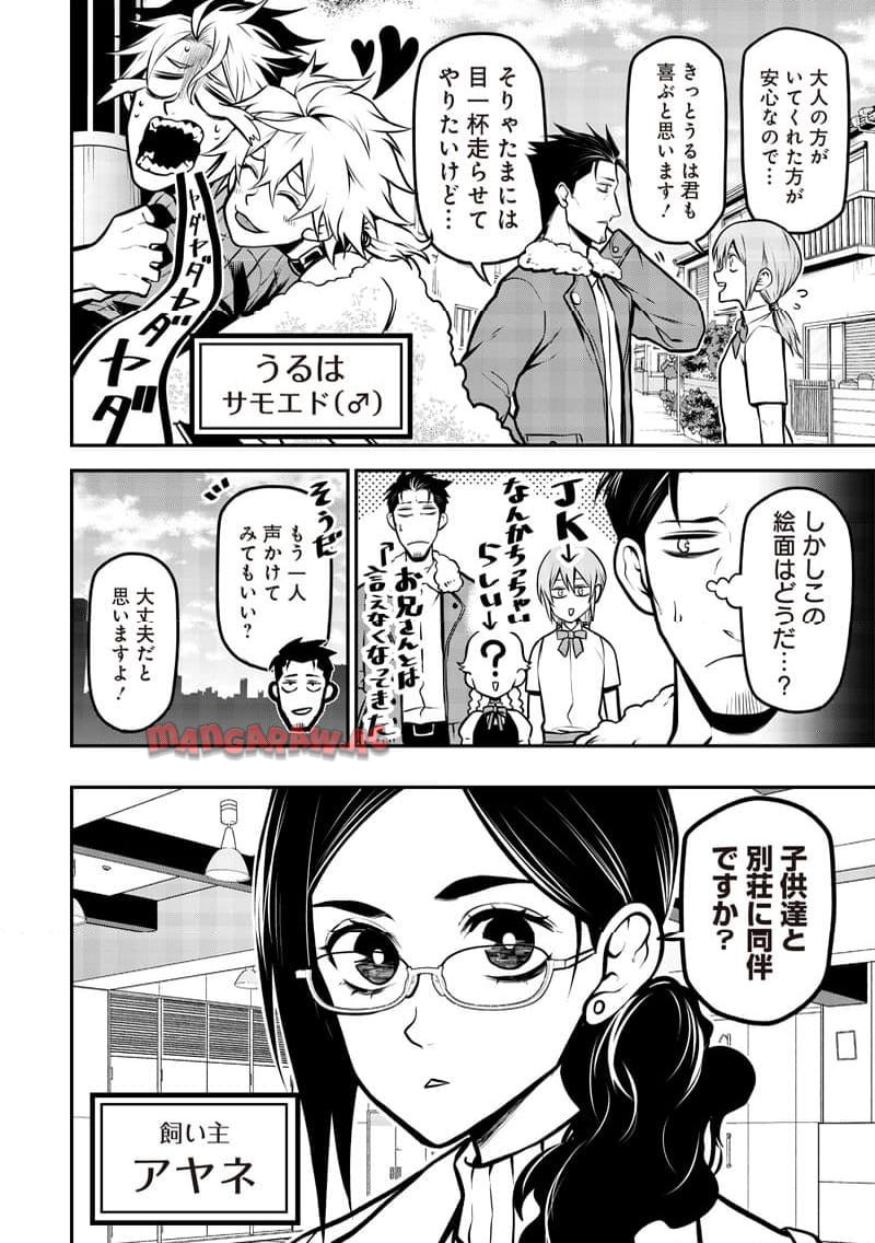 P4